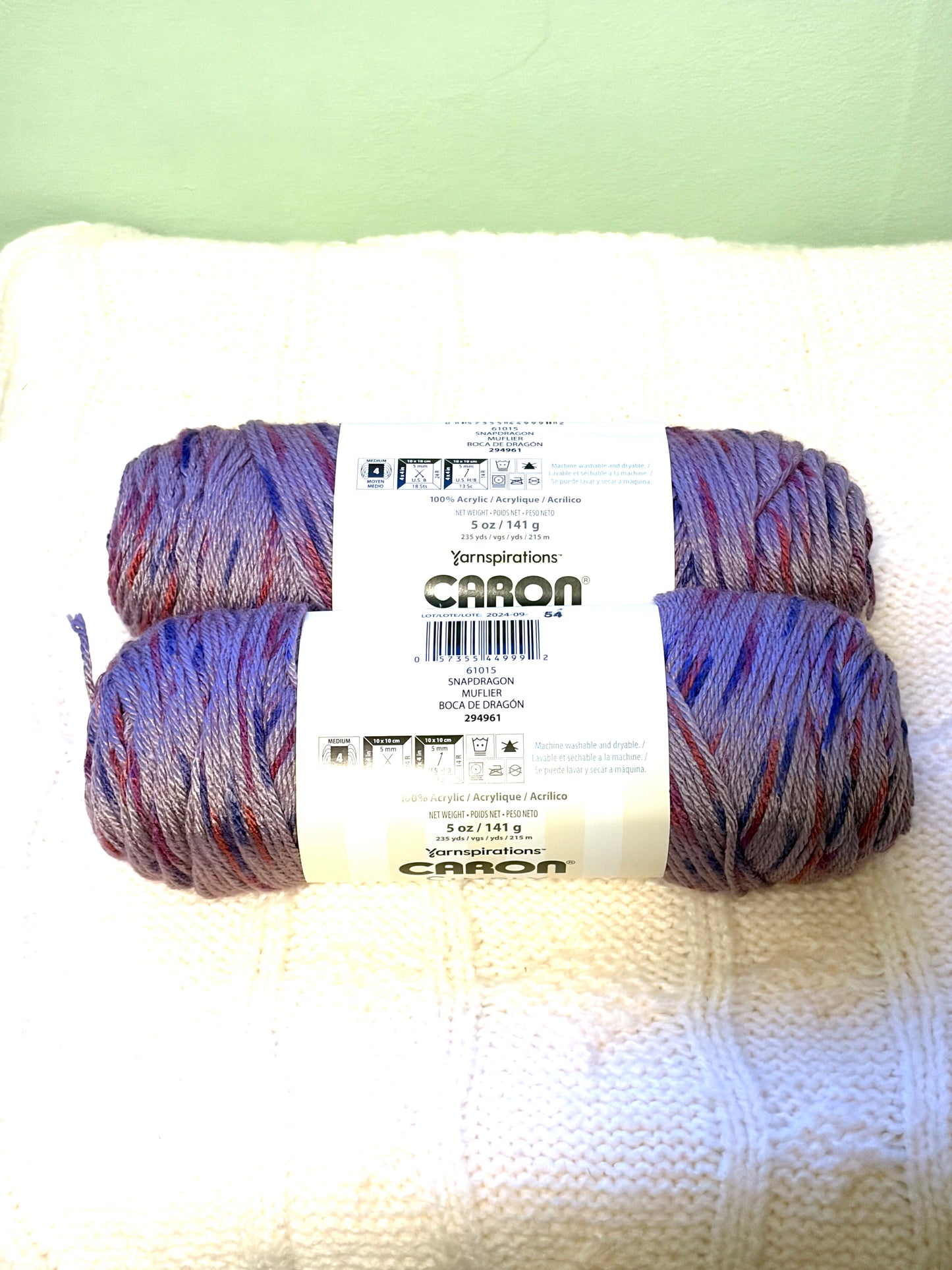 2 Balls x 141g CARON Simply Soft Yarn Speckle : Snapdragon