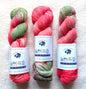 1 Skein x 100g Cashmere Wool Blend Gradient yarn : 19 Watermelon Vine