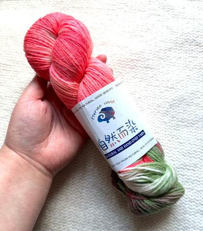 1 Skein x 100g Cashmere Wool Blend Gradient yarn : 19 Watermelon Vine