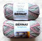 2 Balls x 225g Bernat Symphony Chunky Yarn Wool Blend : Seashell