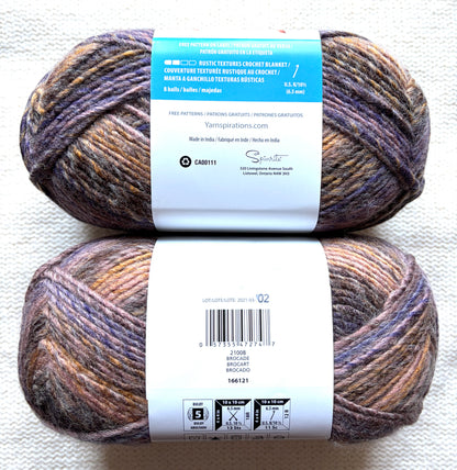 2 Balls x 225g Bernat Symphony Chunky Yarn Wool Blend : Brocade