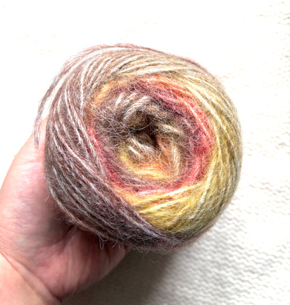 2 cakes x 50g Gradient Wool Blend Yarn : Colour 04 Authum