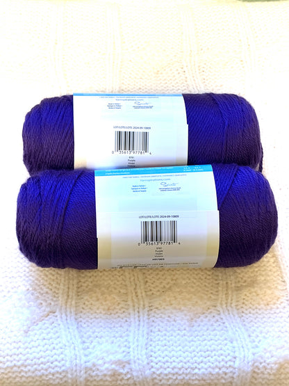 2 Balls x 170g CARON Simply Soft Yarn Purple 100% Acrylic