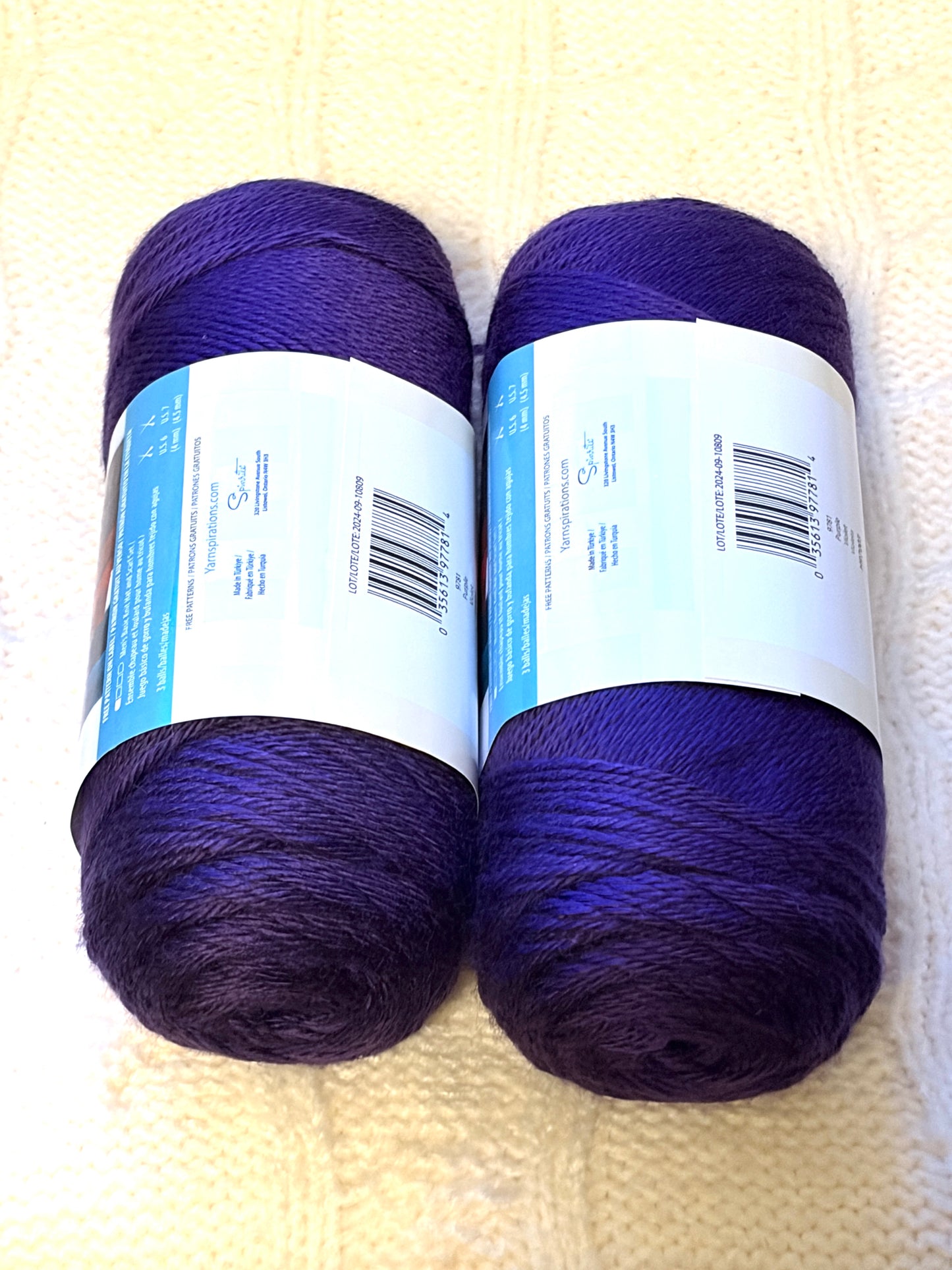 2 Balls x 170g CARON Simply Soft Yarn Purple 100% Acrylic
