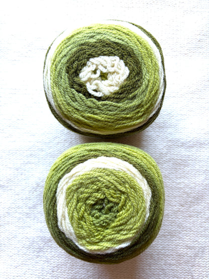 Caron Cakes Self Striping Aran Yarn 200g : Wool Blend : Pistachio - 1 cake