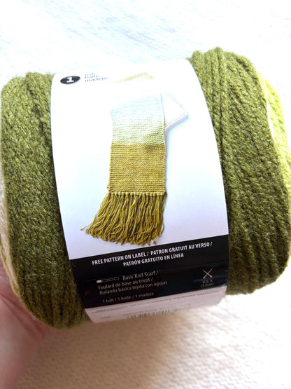Caron Cakes Self Striping Aran Yarn 200g : Wool Blend : Pistachio - 1 cake