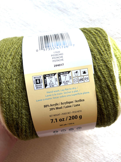 Caron Cakes Self Striping Aran Yarn 200g : Wool Blend : Pistachio - 1 cake