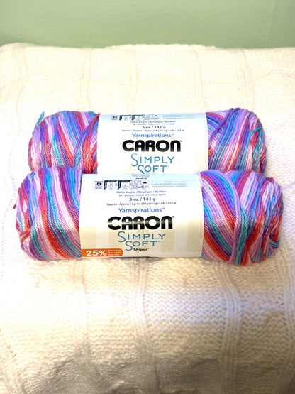 2 Balls x 141g CARON Simply Soft Yarn Stripes : Times Square