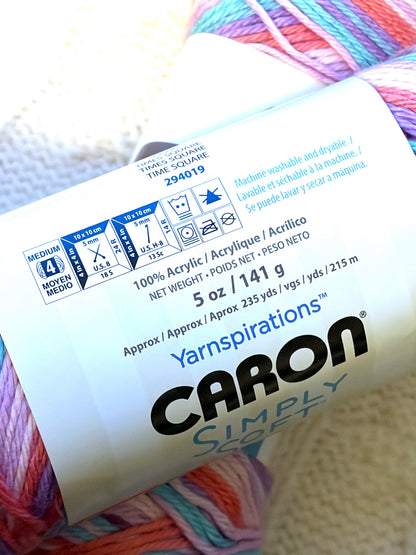 2 Balls x 141g CARON Simply Soft Yarn Stripes : Times Square