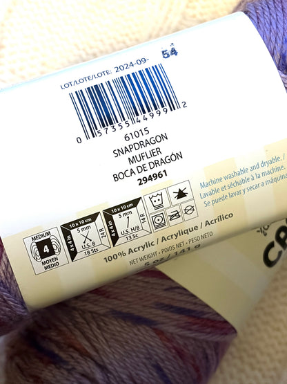 2 Balls x 141g CARON Simply Soft Yarn Speckle : Snapdragon