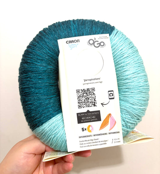 141g CARON Simply Soft O’GO : Pagoda / Glacier 100% Acrylic