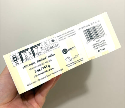 141g CARON Simply Soft O’GO : Pagoda / Glacier 100% Acrylic