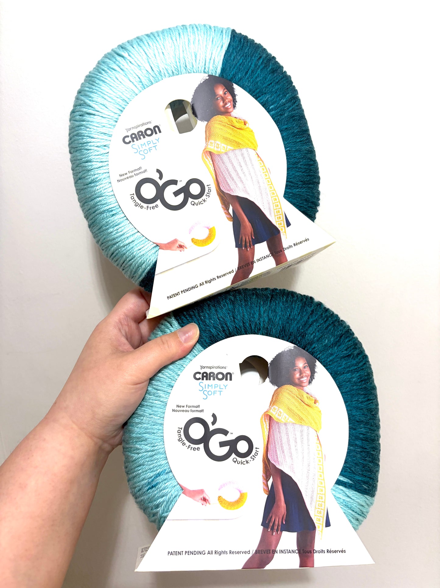 141g CARON Simply Soft O’GO : Pagoda / Glacier 100% Acrylic