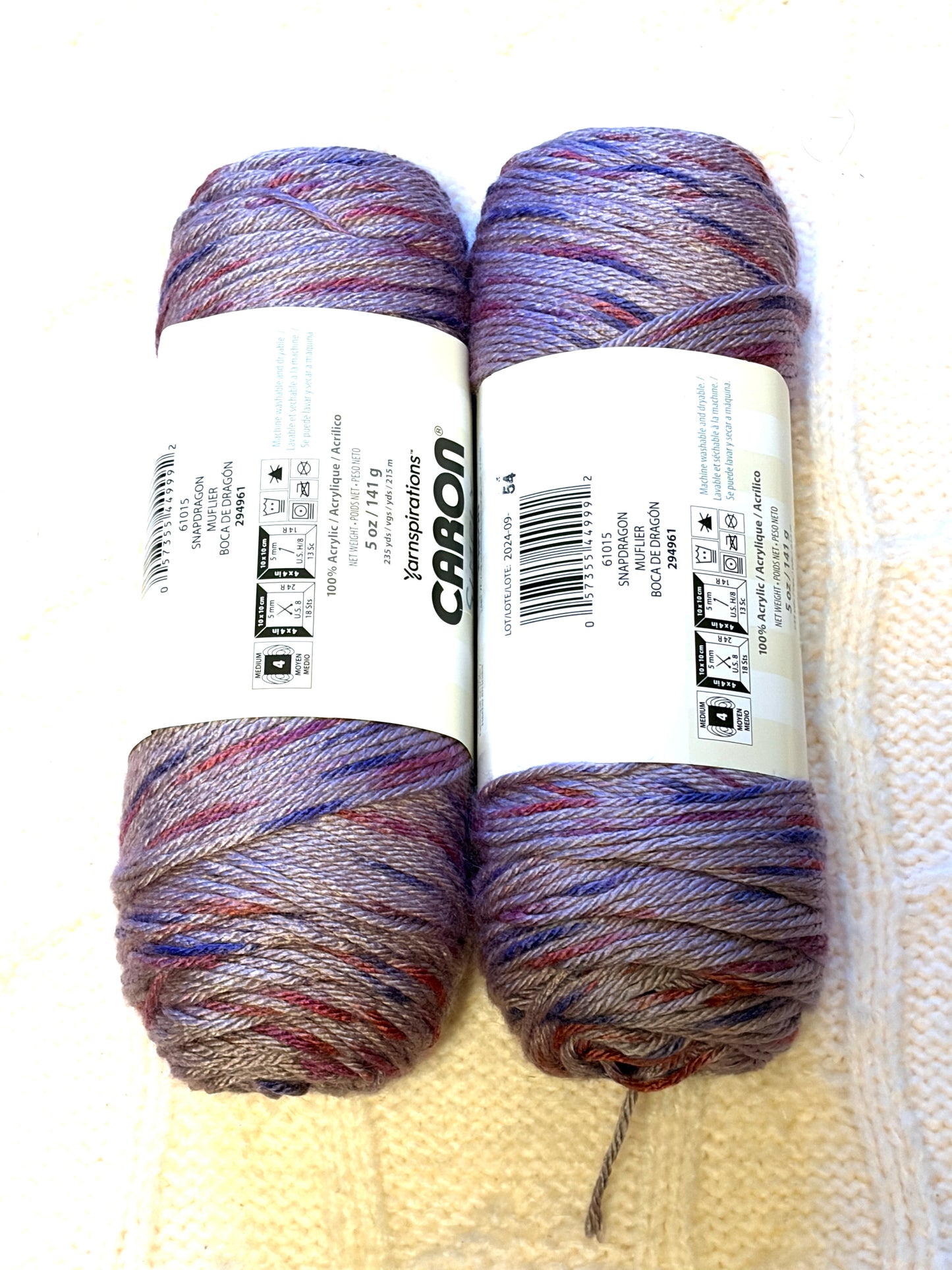 2 Balls x 141g CARON Simply Soft Yarn Speckle : Snapdragon