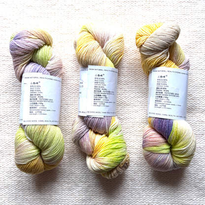 1 Skein x 100g Cashmere Wool Blend Gradient yarn : 11 Spring Garden